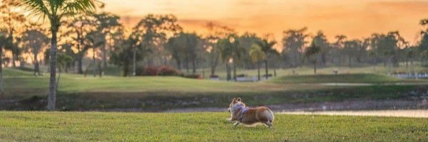 Pattana Golf Club and Resort