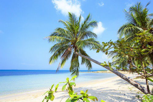 หาดบางปอ