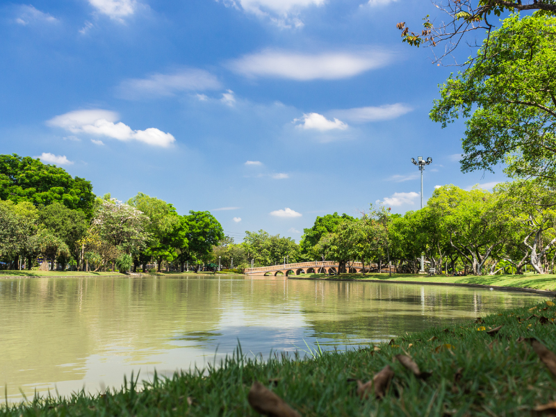 Chatuchak Park Bangkok
