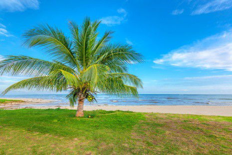 หาดหน้าทราย