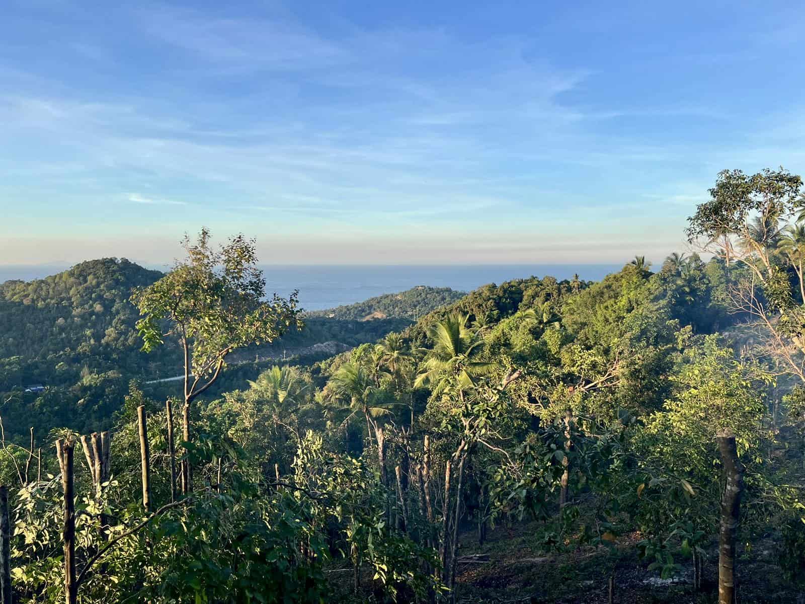 mountain view in koh phangan