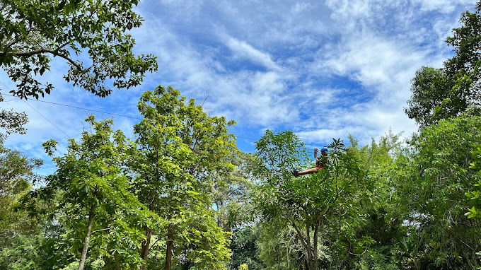 TPark Hua Hin ree Top Adventure 