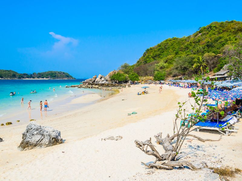 cozy beach pattaya