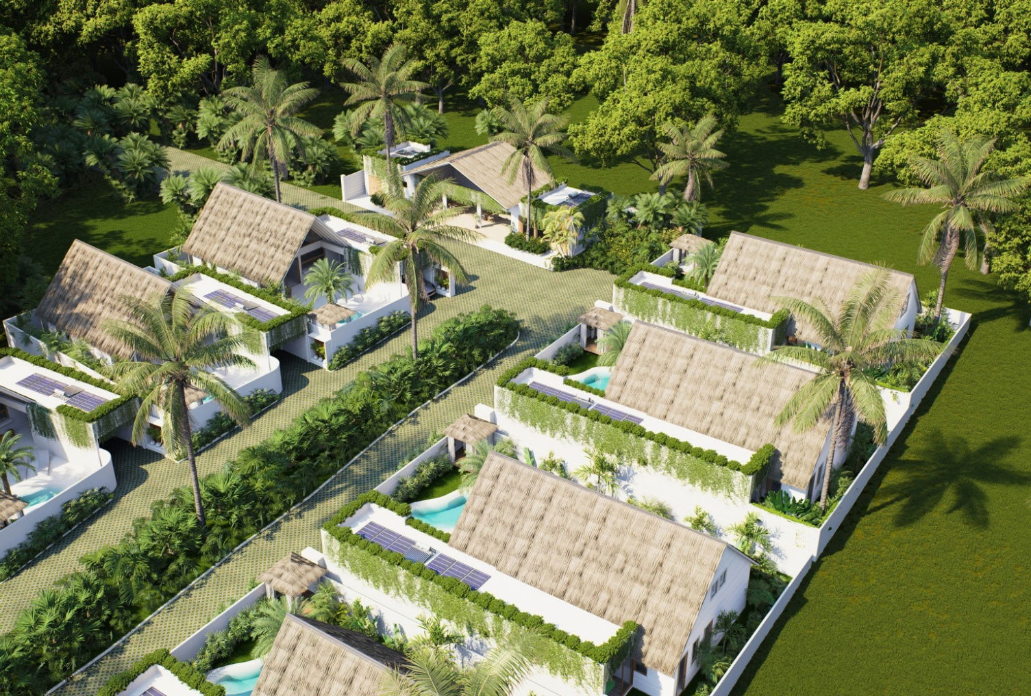 ERA Tropica - Top vIew project
