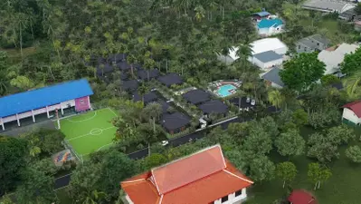 Palm-Paradise-Project-Photo-6.jpg