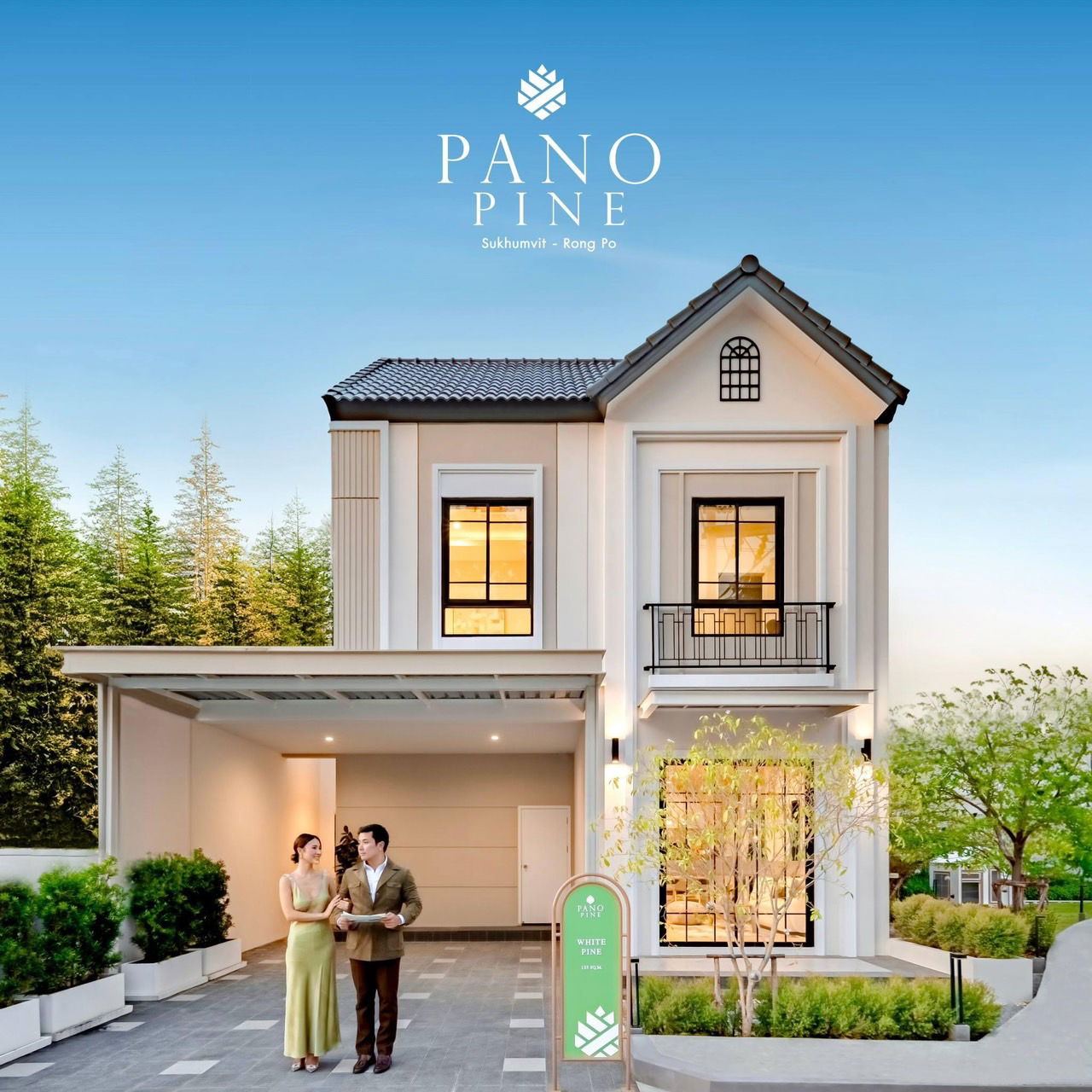 Pano Pine - Weiße Tanne