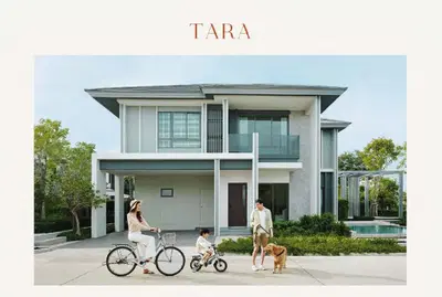 Patta-Element-Tara.jpg