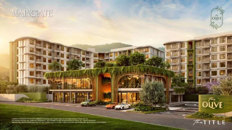 The Olive - Exterior