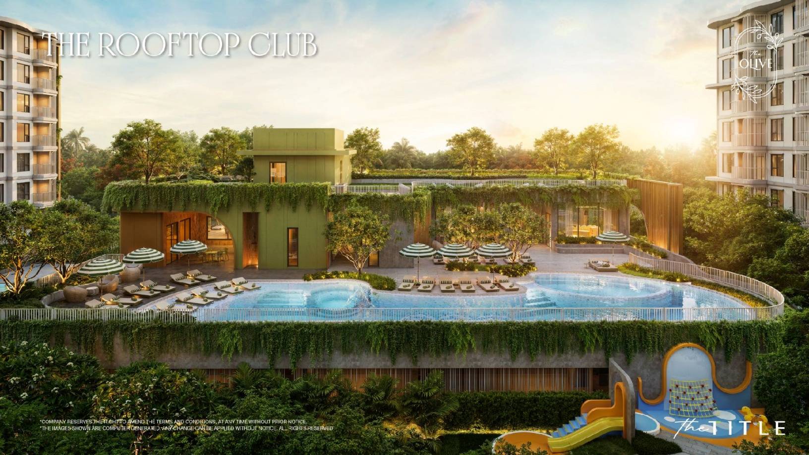 The Olive - Rooftop