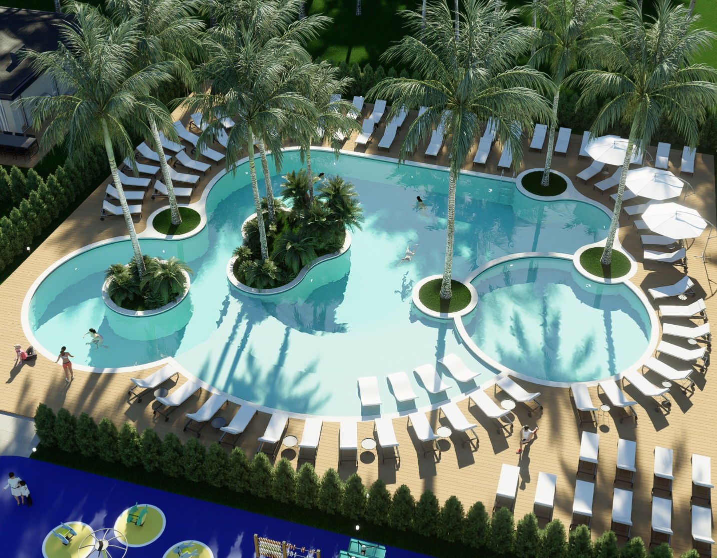Tropical paradise - Pool Top View
