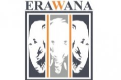 Erawana