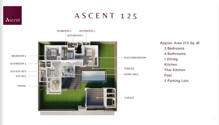 Ascent-Layout-Typr-A.jpg