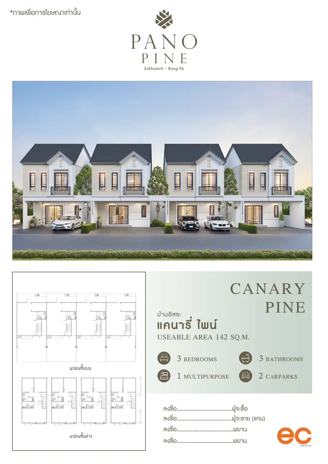 Pano-Pine-Unir-Plan-Type-Cannary-Pine.jpg