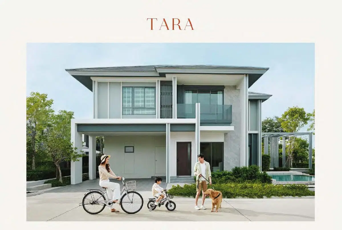 Patta-Element-Tara.jpg